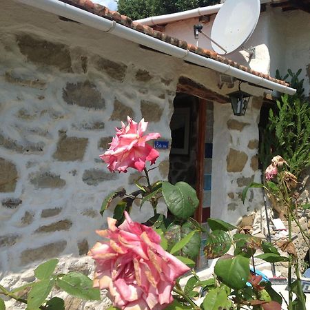 Villa D'Arte Mortola Superiore Pokoj fotografie