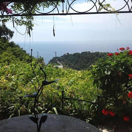 Villa D'Arte Mortola Superiore Pokoj fotografie