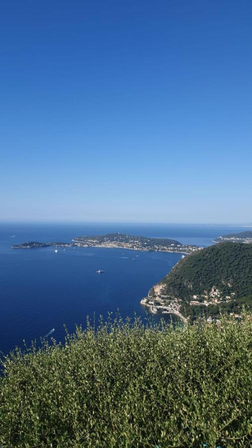 Villa D'Arte Mortola Superiore Exteriér fotografie