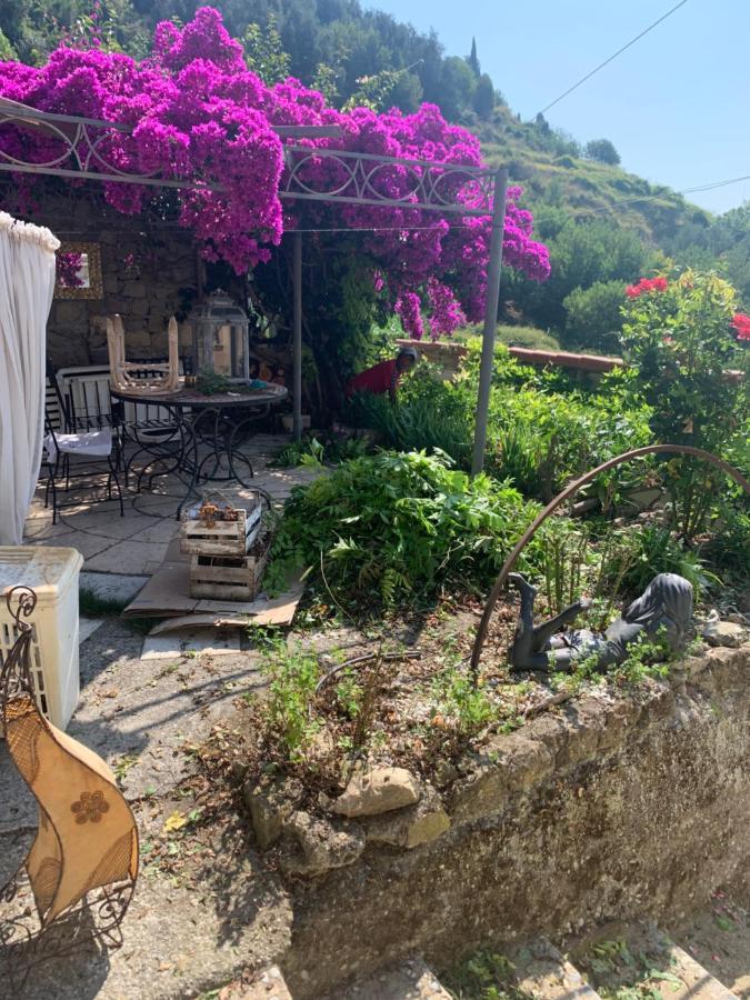 Villa D'Arte Mortola Superiore Exteriér fotografie