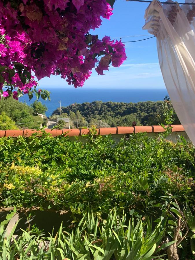 Villa D'Arte Mortola Superiore Exteriér fotografie
