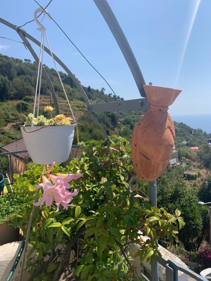 Villa D'Arte Mortola Superiore Exteriér fotografie