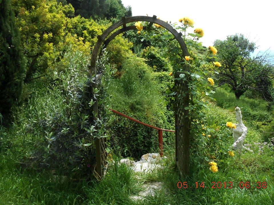 Villa D'Arte Mortola Superiore Exteriér fotografie